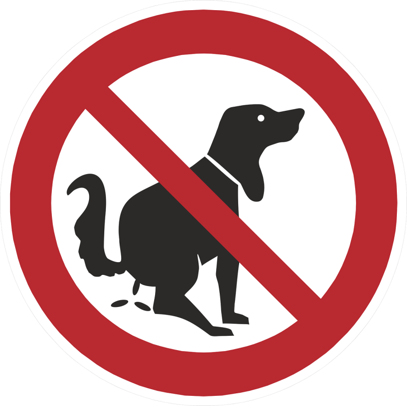 Dog fouling