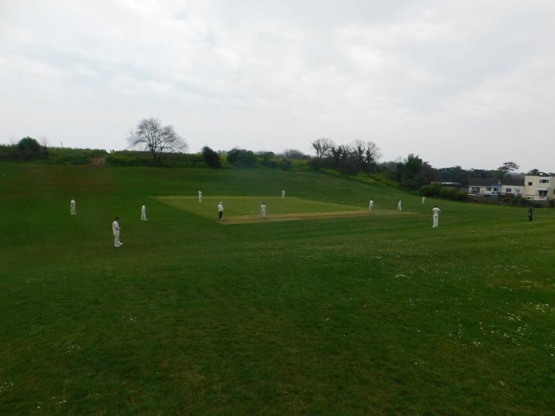 Walls Hill Cricket