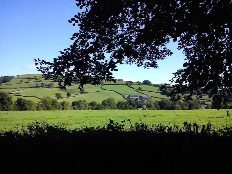 Peter Moore on life in Devon