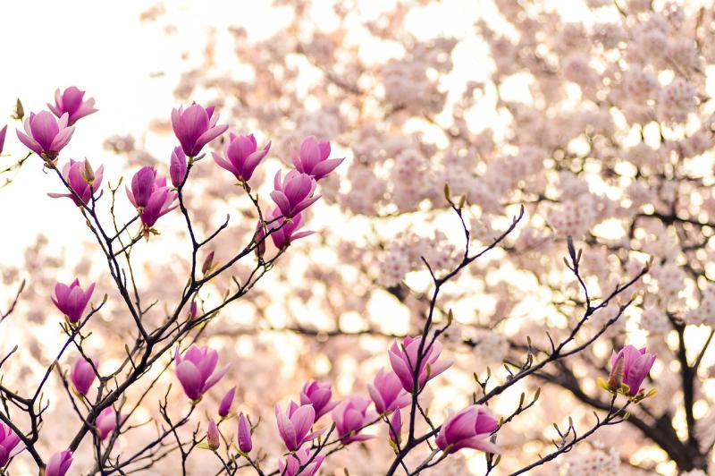 Stephen Coombes captures the slow arrival of Spring in Devon