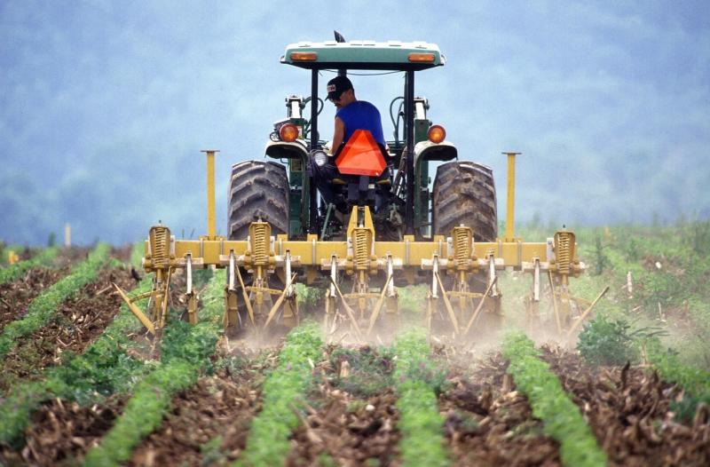 Anthony Mangnall on what more we can do to support our rural and coastal producers