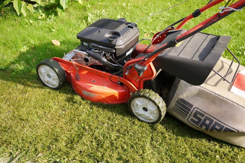 Gardening: How to mow your lawn & grow vegetable crops such as peas
