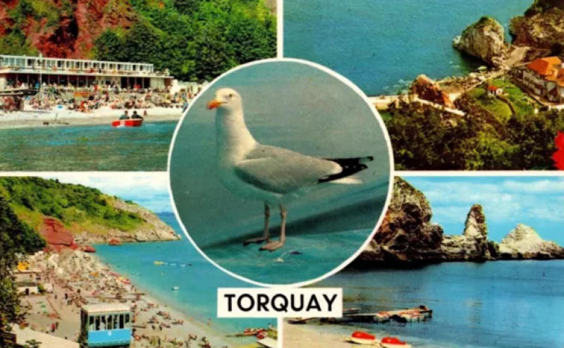 The swan, the gull and the spirit of Torquay