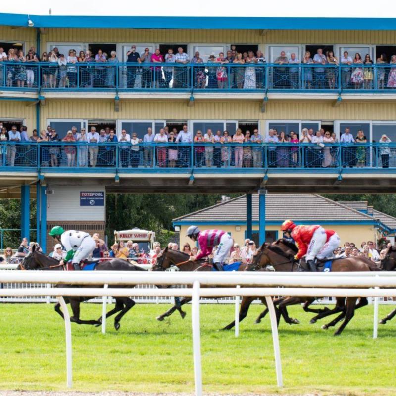 Newton Races