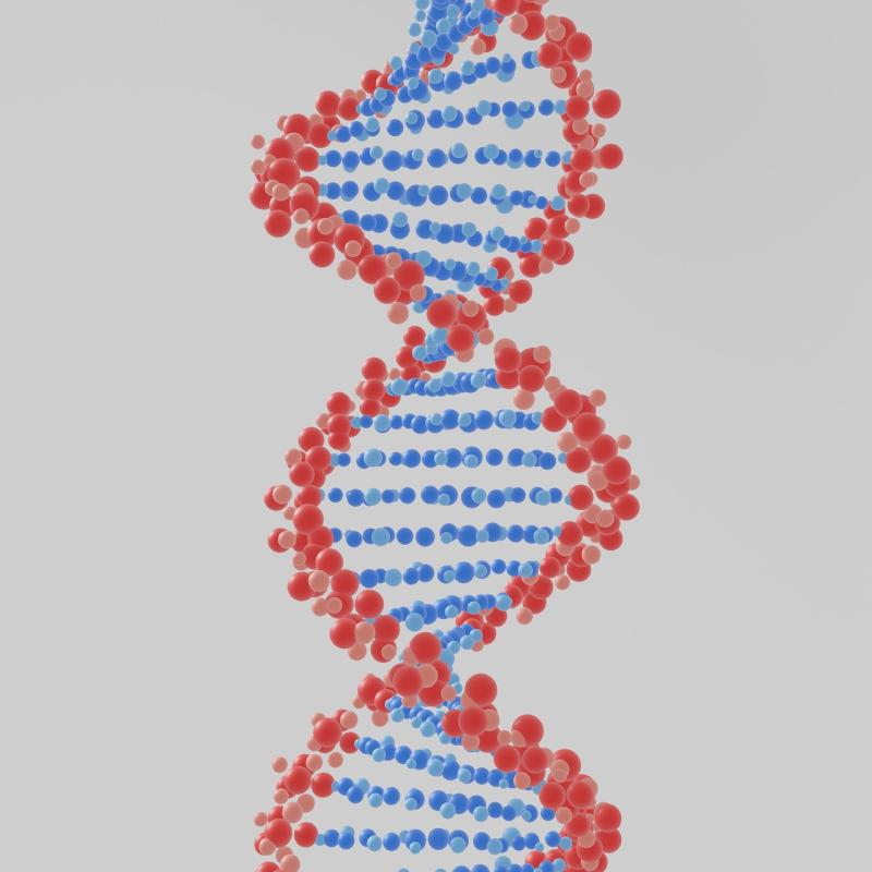 Peter Moore on DNA 