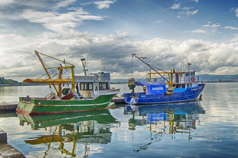 Government announces plans to cut red tape around fishing industry