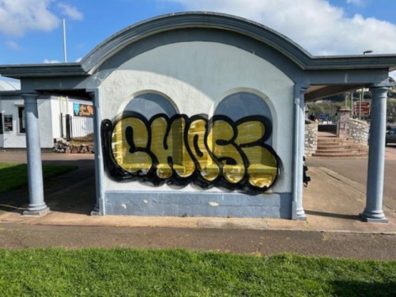 Police appeal after graffiti tag spotted across Torbay
