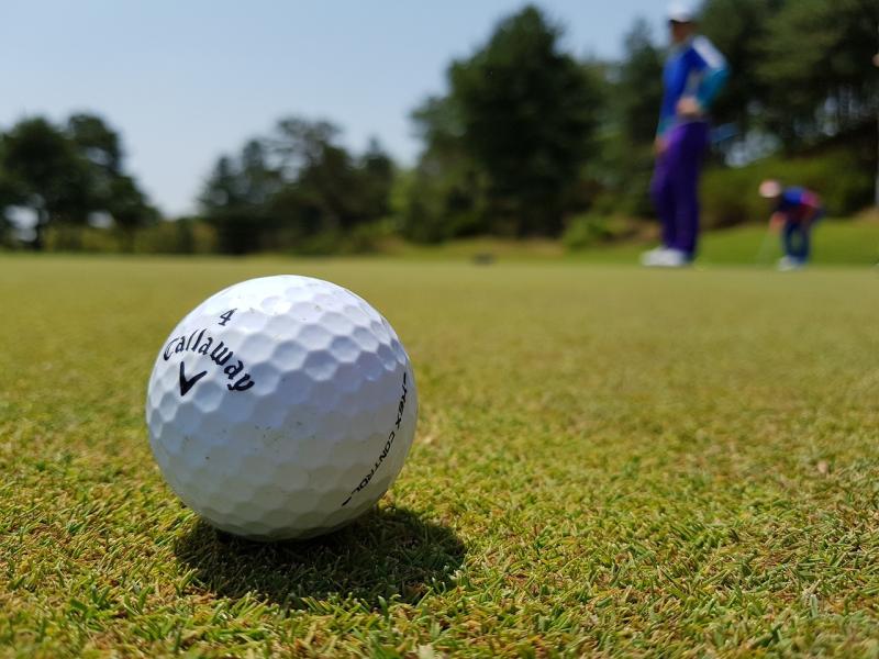 Preston Rotary Club plans charity golf event 