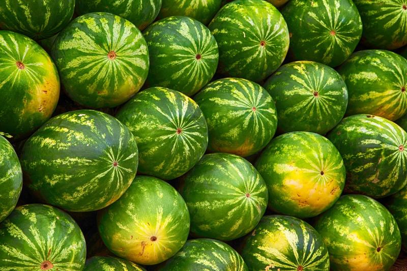 Branch out! Try growing different vegetables