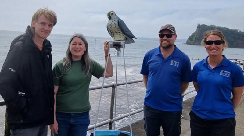 RoboBird sent to protect Teignmouth’s bathing water