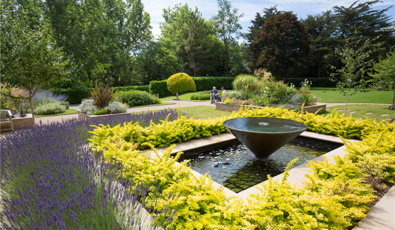 Unmissable selection of gardens at this year's Rowcroft event