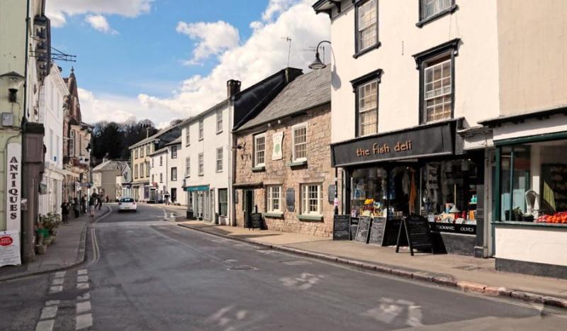 When Devon became a Loony hotspot