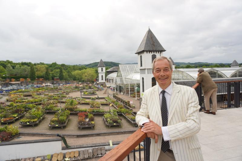 Sally Allen: Why polling day dawns for me under a cloud of doom and gloom