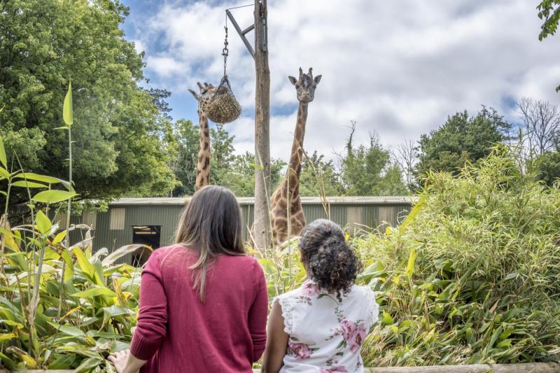 The battle to rescue cash-strapped Paignton Zoo