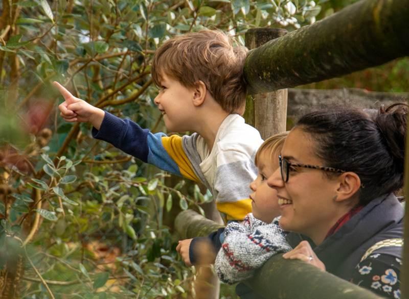 Paignton Zoo announces special half-term deal