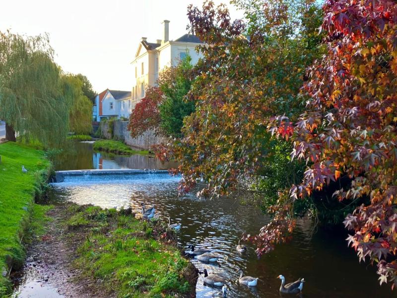 Plea to restore Dawlish ‘jewel in the crown’