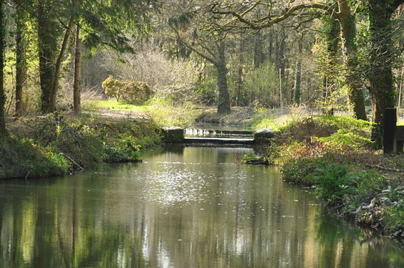Country park makes a splash with major improvements unveiled
