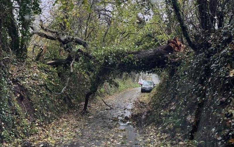 Parliament thanks Storm Bert clean-up crews