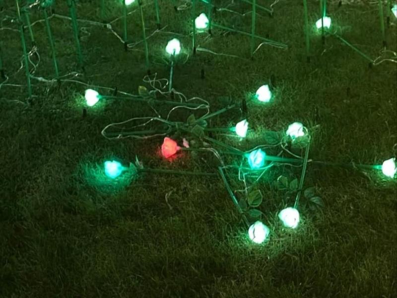 Torquay's Illumination Trail damaged by vandals