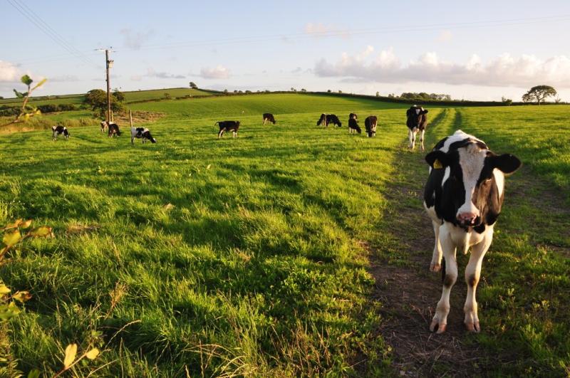Devon MPs urge crackdown on 'tax dodge' farmers