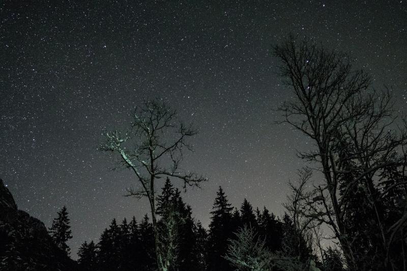 Stargazing: Lucy in the sky with asteroids...
