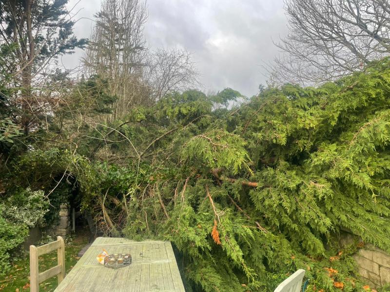 Send us your pictures of Storm Darragh's aftermath