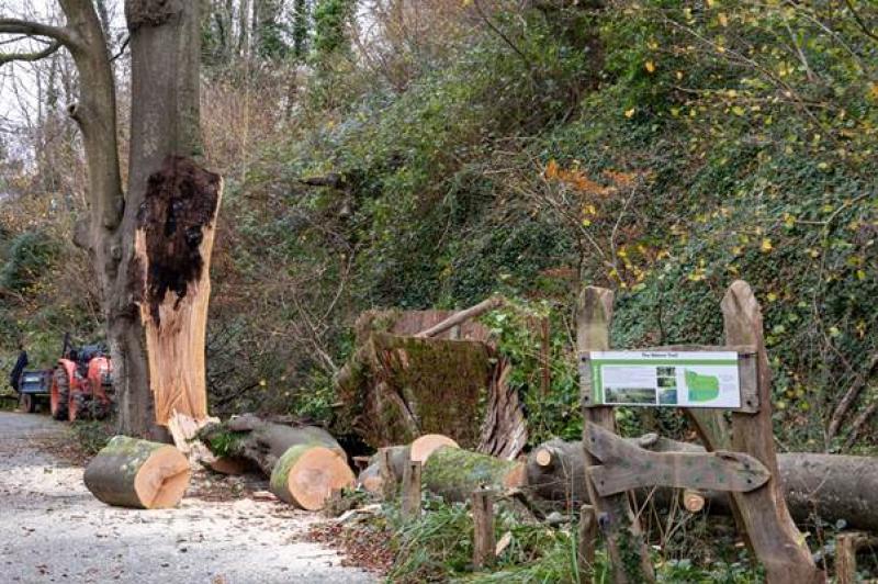 Paignton Zoo dealt devasting blow by Storm Darragh