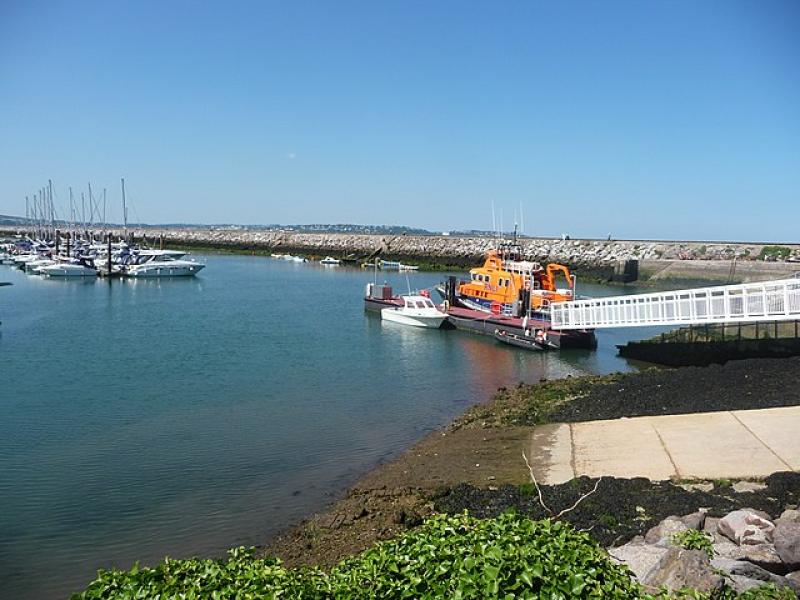 Brixham's cryptosporidium outbreak on agenda at pioneering forum