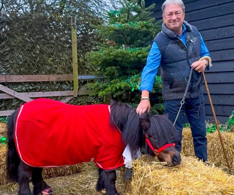 Torbay's Patrick the Pony poised for Christmas TV stardom