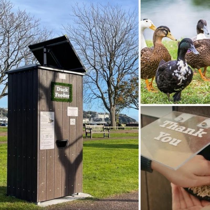 The new duck feeder at Kings Drive