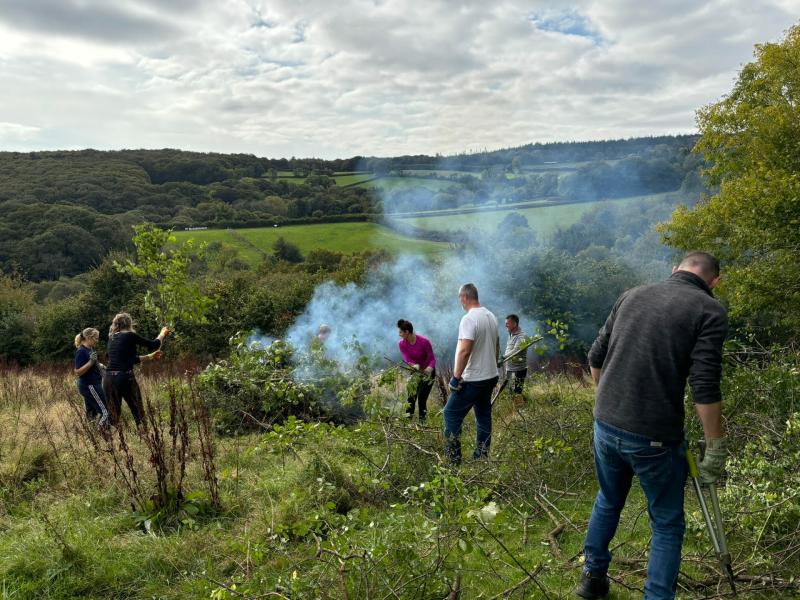 Building hope for barn owls through Dartmoor conservation efforts