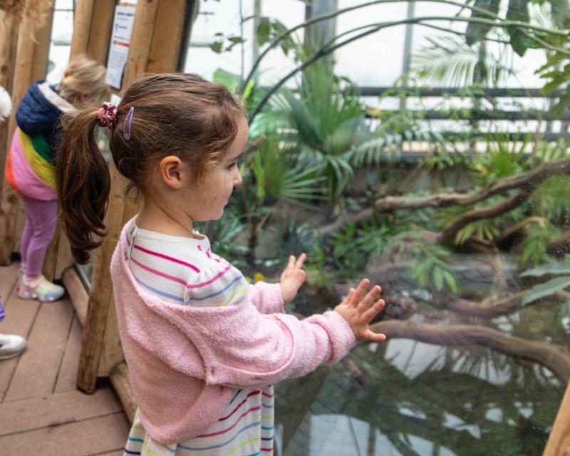 Record crowds celebrate Torbay zoo reopening