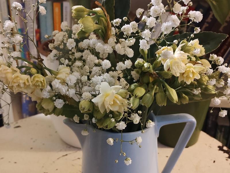 Community Matters: A warm, flowery, Paignton welcome 