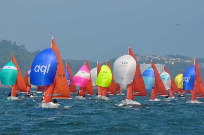 Squib Class in Torbay. Pic from Jean Border Photos