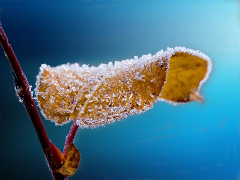 Pat Duke: Natural antidote to January's gloom