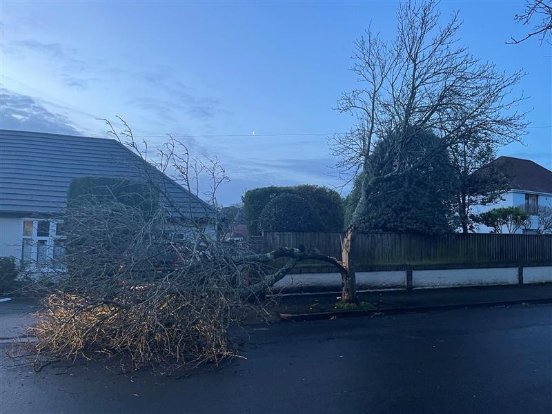 Storm chaos hits Torbay with flooding and fallen trees