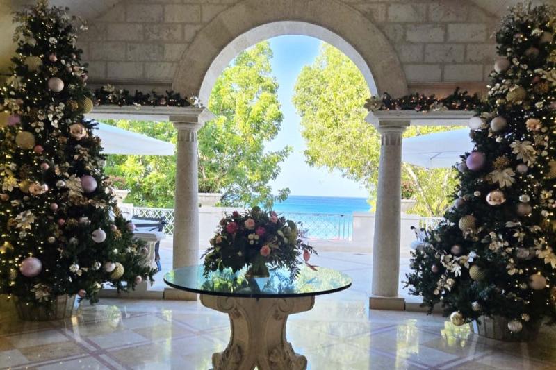Sally Allen: Barbados' success vs Torbay's planning failures