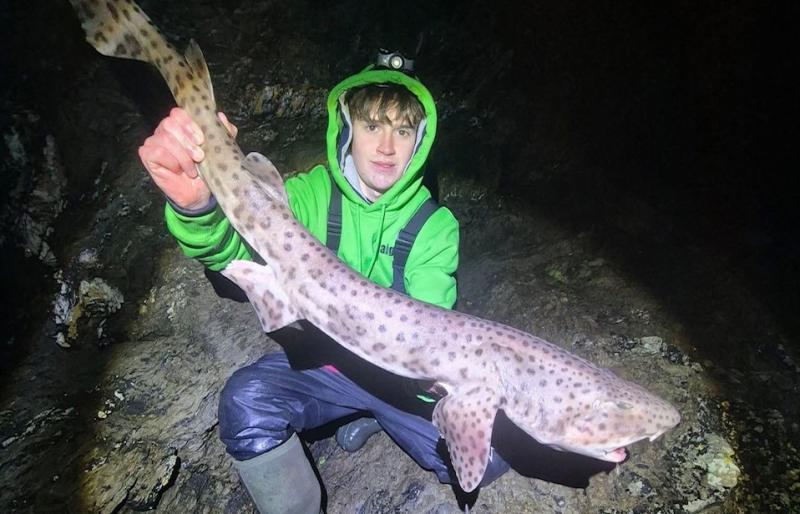 Ethan Hammond with a Bull Huss of 10lbs 5oz