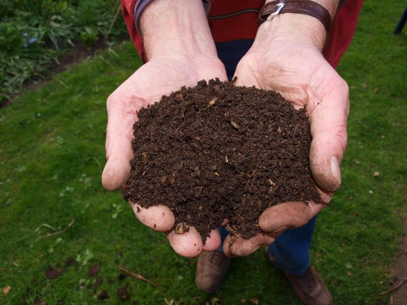 'Spring' your garden into action with organic matter