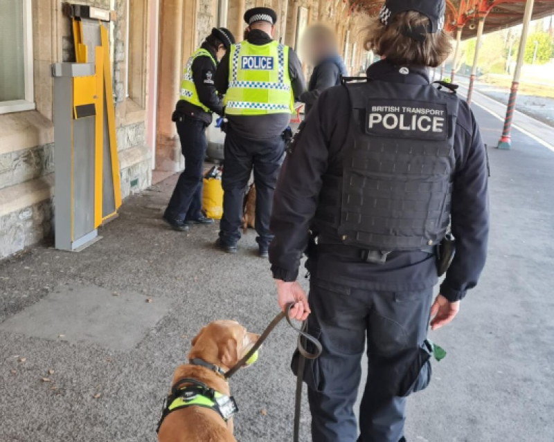 Sniffer dog detects drugs at Torquay train station