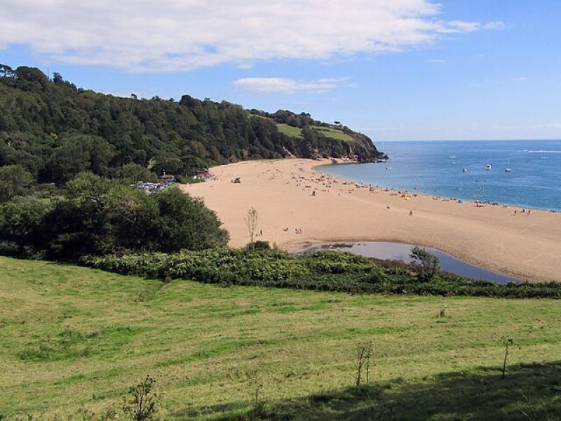South Devon festival unexpectedly cancelled for 2025