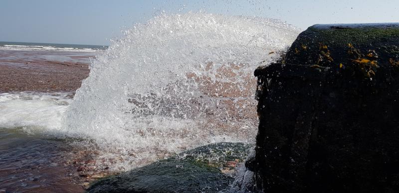  MPs’ anger as South West Water boss faces the music