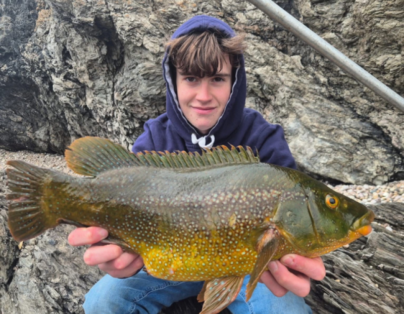 Ethan Hammon with a Ballan Wrasse