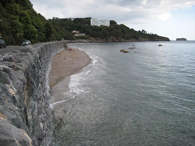Nick Bye: Meadfoot beach parking plans trigger robust conversations