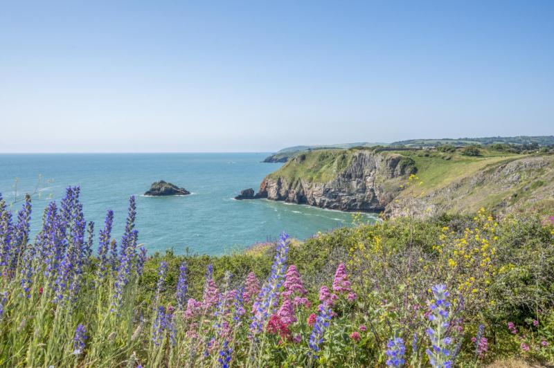 Torbay crowned most Instagrammable bay in Britain
