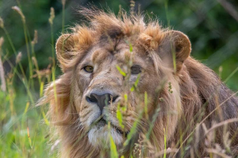 Torbay MP’s zoo invitation for the Prime Minister