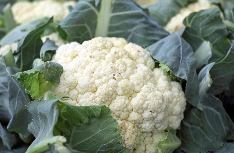 Gardening with Pat Duke: 'tis the Caulifl-hour!