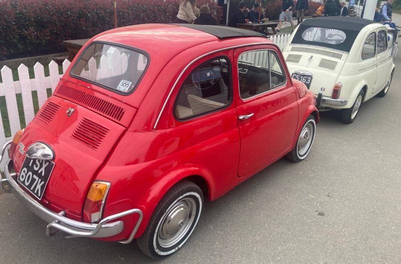 Paul Jolly: Would you electrify these cute little babies?