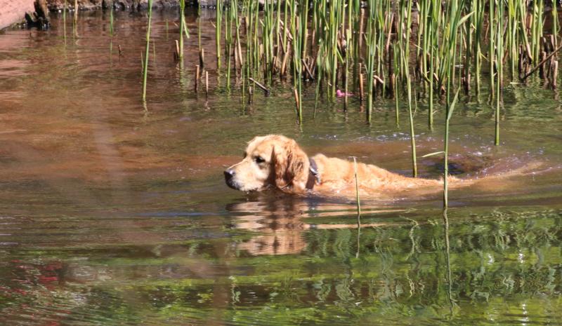 Community Matters: Plenty to be hopeful for this Spring