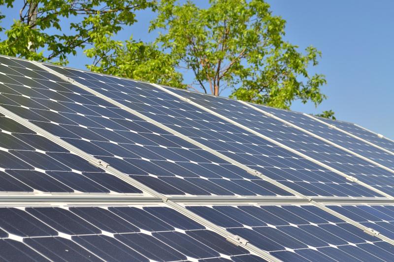 Torbay solar farm decision makers told to think again